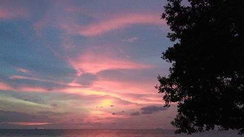 Low angle view of silhouette trees against sky during sunset