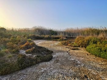 Scenic view of stream against clear sky