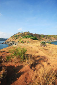 Scenic view of beach against blue sky