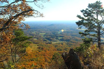 Scenic view of landscape against sky during autumn