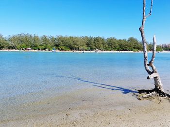 Scenic view of lake against clear blue sky