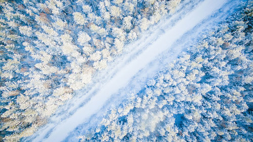 Aerial view of snow covered road amidst trees in forest