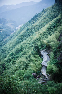 High angle view of trees on landscape