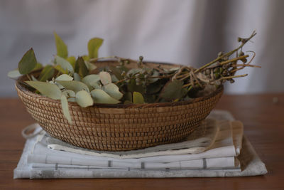 Close-up of potted plant on table