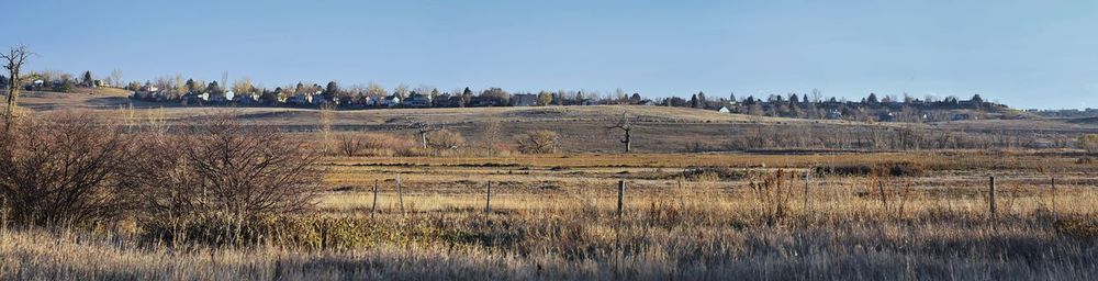 Panoramic view of field against clear sky