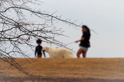 Silhouette people walking on field against clear sky