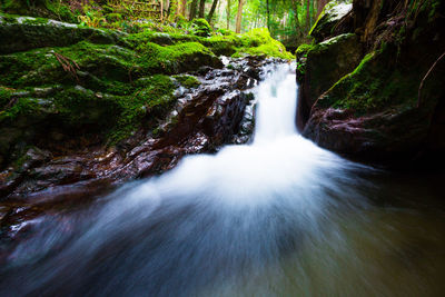 Scenic view of waterfall amidst trees in forest