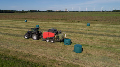 People on grassy field