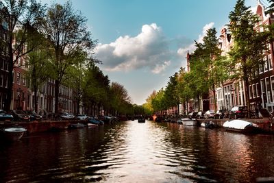 Canal amidst trees against sky in city
