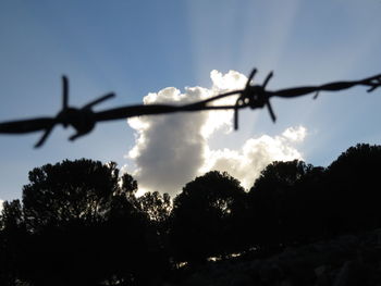 Low angle view of silhouette trees against sky