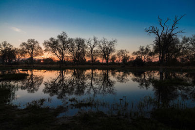 Silhouette trees by lake against sky during sunset