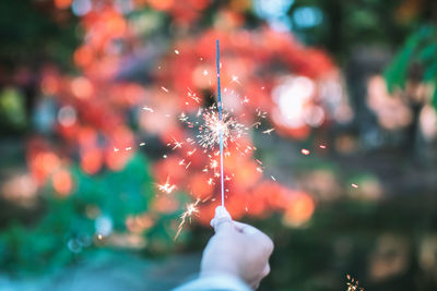 Hand holding firework display
