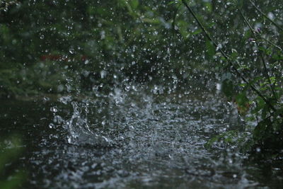 Close-up of water splashing on rainy day