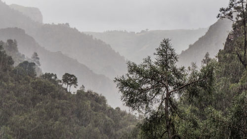 Scenic view of trees and mountains against sky