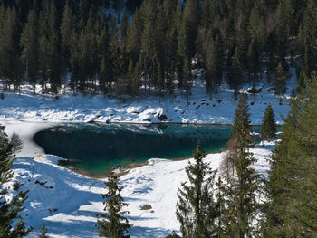 Scenic view of frozen lake by trees during winter