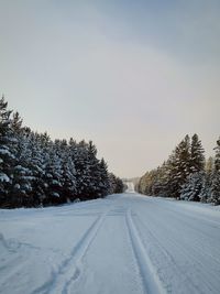 Snow covered road by trees against sky