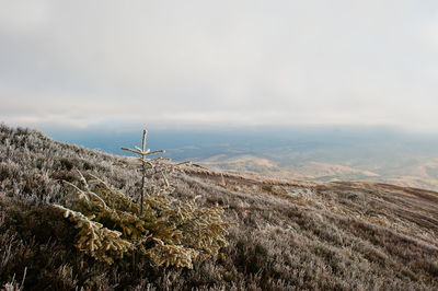 Rear view of man standing on mountain against sky