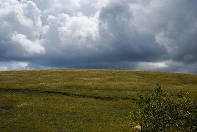 Scenic view of landscape against sky