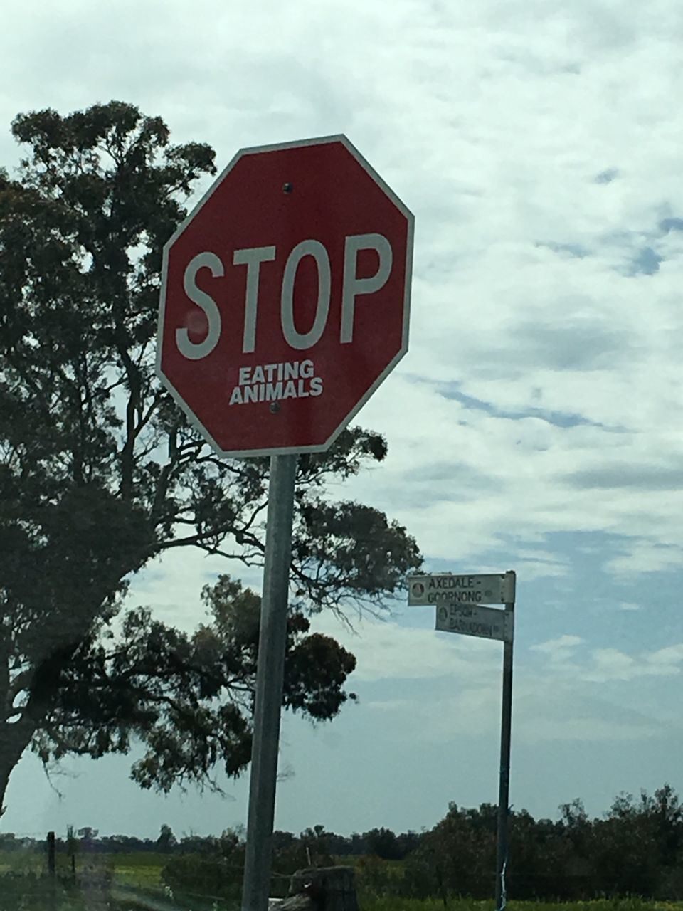 sky, road sign, cloud - sky, tree, low angle view, stop sign, communication, no people, day, text, outdoors, nature