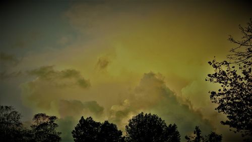 Low angle view of silhouette trees against sky