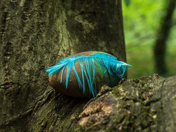 Feather and rock on tree branch 