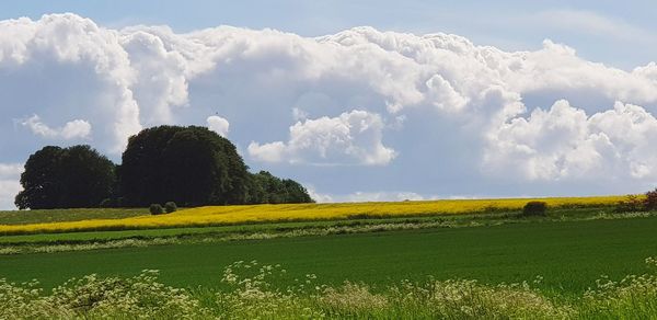 Panoramic view of landscape against sky