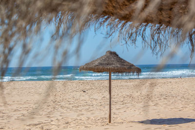 View through straw parasol to a straw parasol