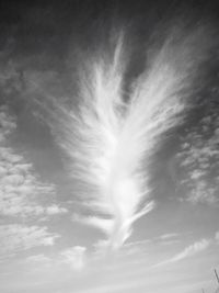 Low angle view of vapor trail in sky