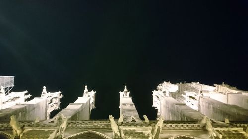 View of birds on land against sky at night