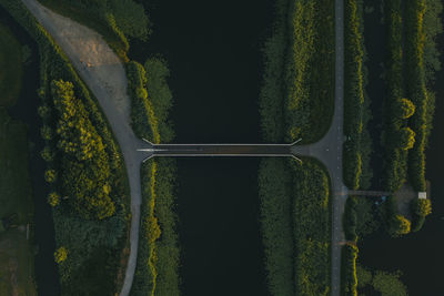 Aerial view of bridge amidst trees