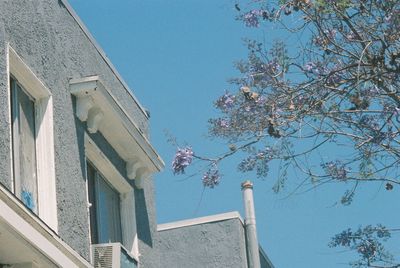 Low angle view of building against blue sky