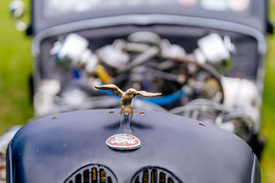 Close-up of insect on car