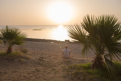 Rear view of people on beach against sky during sunset