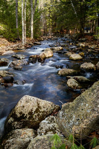 River stream flowing through rocks in forest