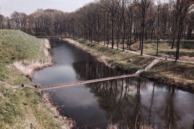 Reflection of trees in river