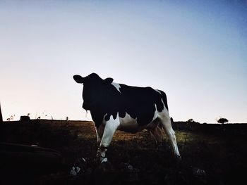 Cow standing on landscape against clear sky