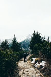 Rear view of hiker walking on trail by mountain against clear sky