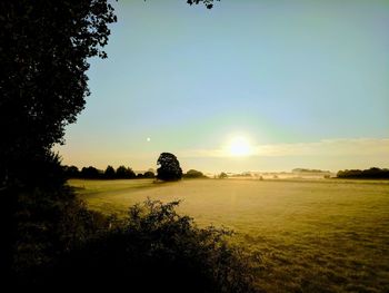 Scenic view of field against sky at sunset