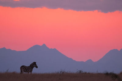 Scenic view of mountains against sky during sunset