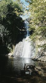 Scenic view of waterfall in forest