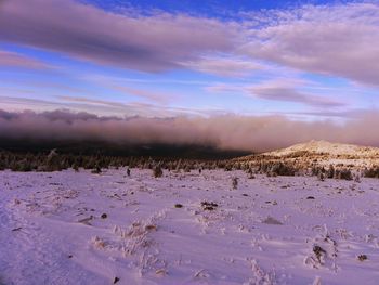 Scenic view of snow covered field against sky