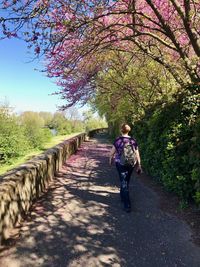 Full length rear view of woman walking on footpath