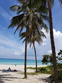 Palm trees at beach against sky