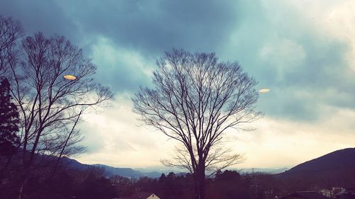 Low angle view of silhouette bare tree against sky at sunset