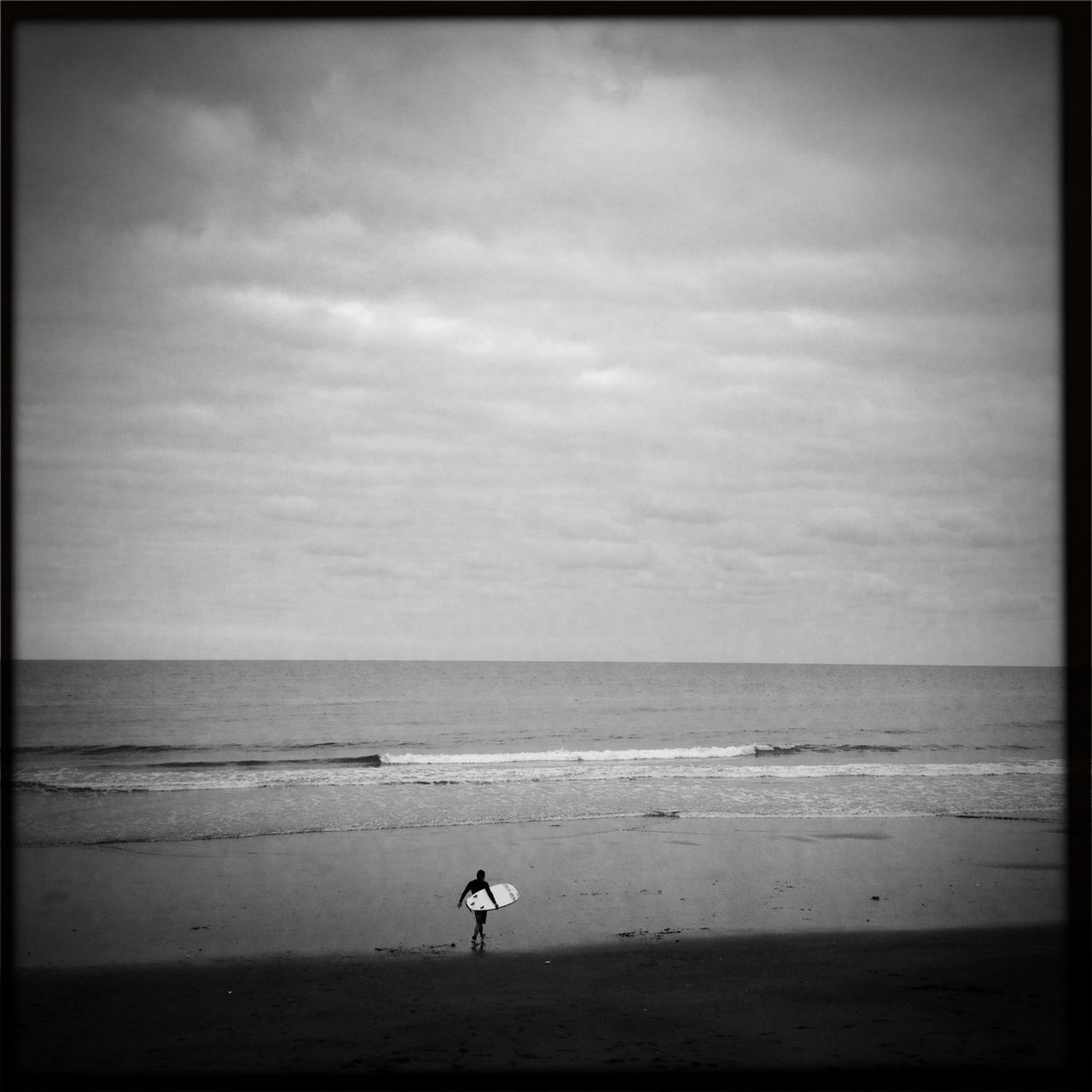 sea, horizon over water, beach, sky, water, bird, transfer print, shore, scenics, auto post production filter, tranquil scene, cloud - sky, tranquility, sand, flying, beauty in nature, animal themes, nature, one animal, seagull