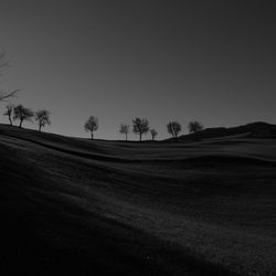 Trees on field against clear sky