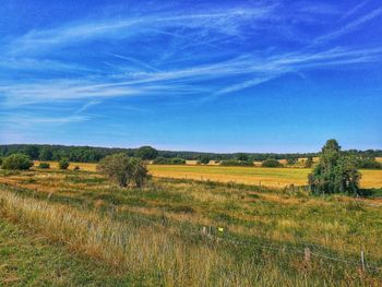 Scenic view of field against blue sky