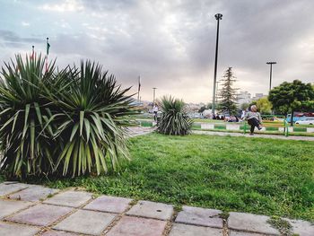 People walking on footpath in park