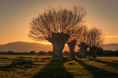 The long shadow of nature