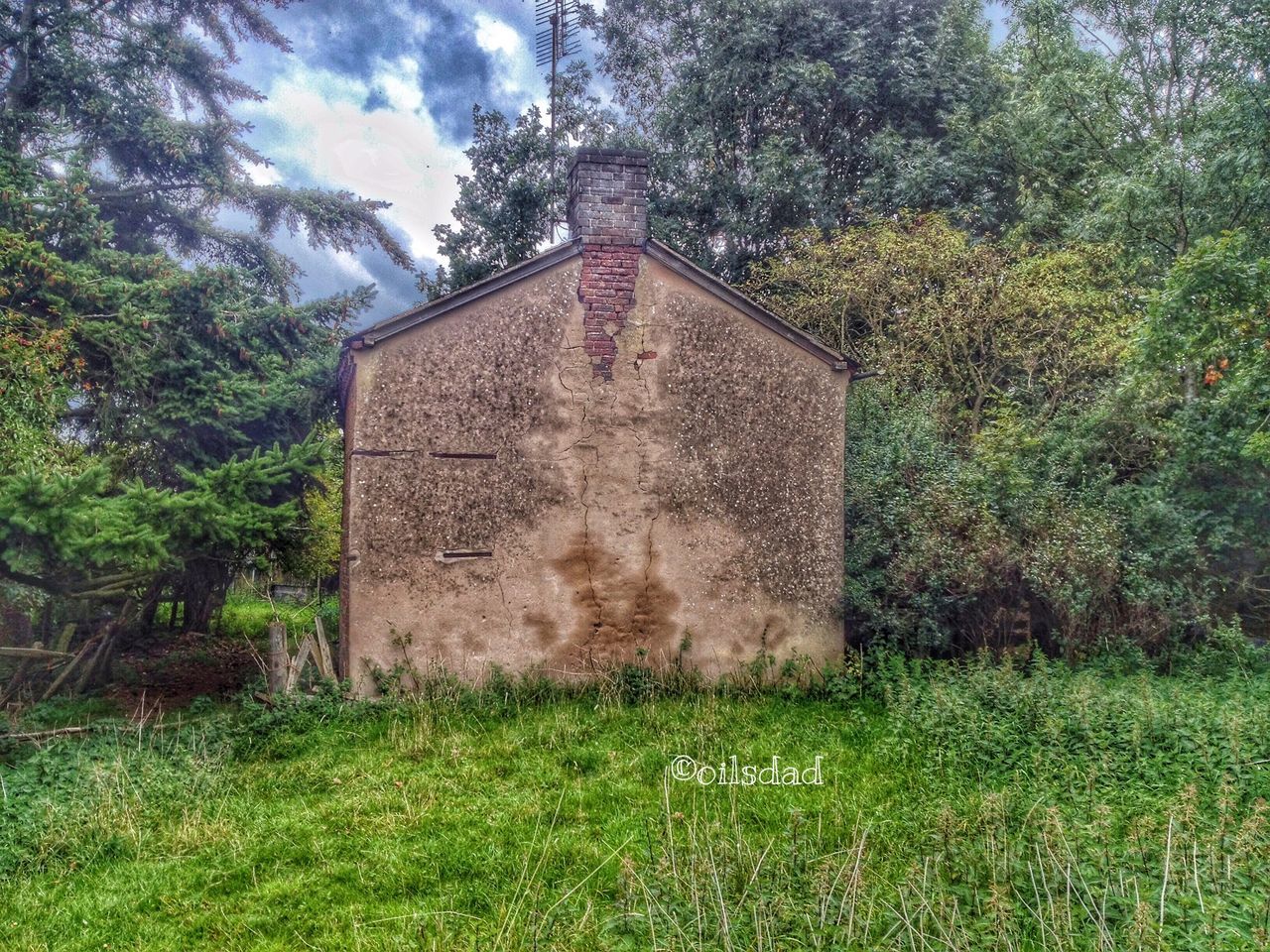 grass, tree, built structure, architecture, building exterior, field, green color, growth, grassy, plant, sky, house, tranquility, nature, day, no people, outdoors, tranquil scene, landscape, sunlight